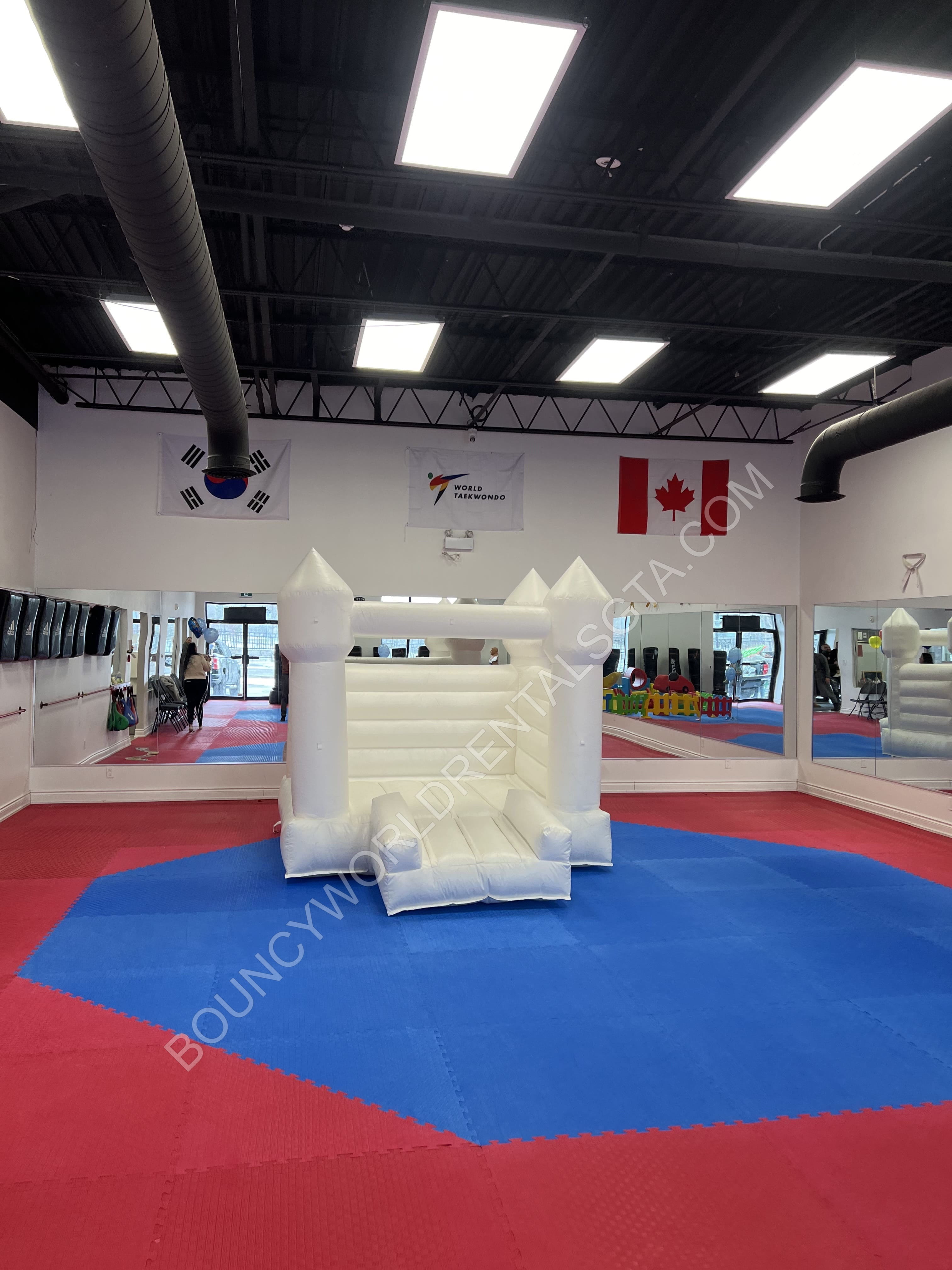 White Dream Castle